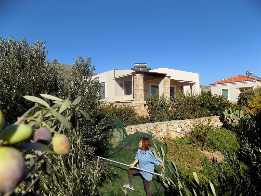 Alkionides Villas Xerokampos  Exterior photo